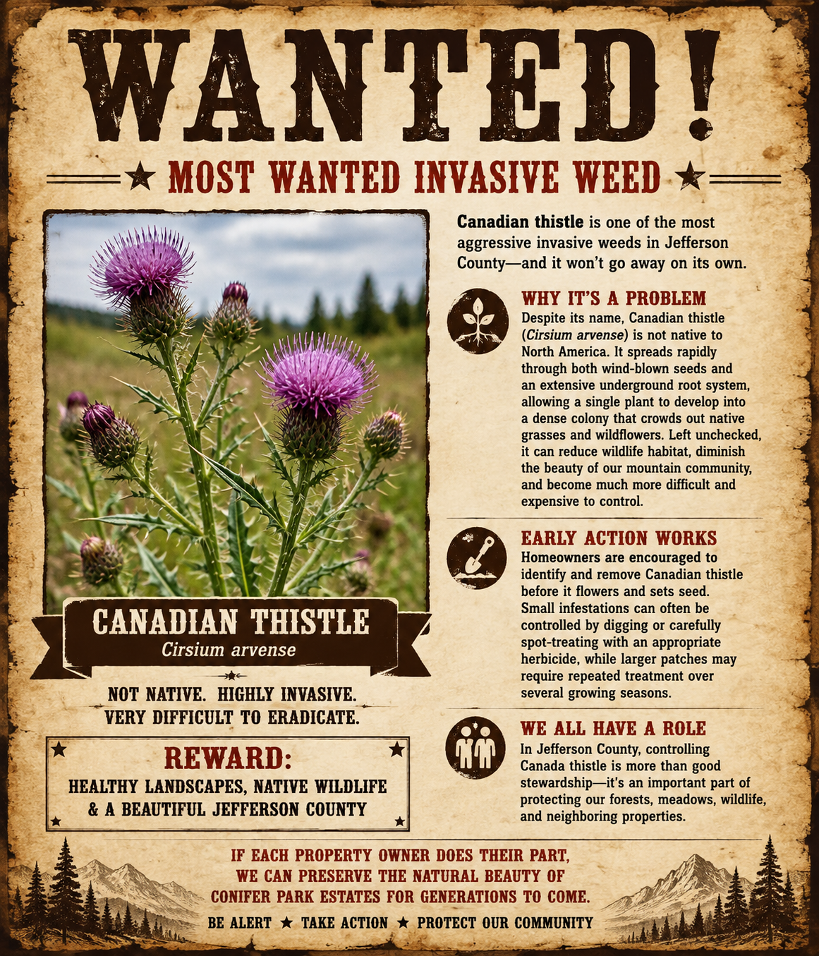 Wanted poster identifying Canadian thistle as a highly invasive noxious weed and encouraging Jefferson County property owners to take early action